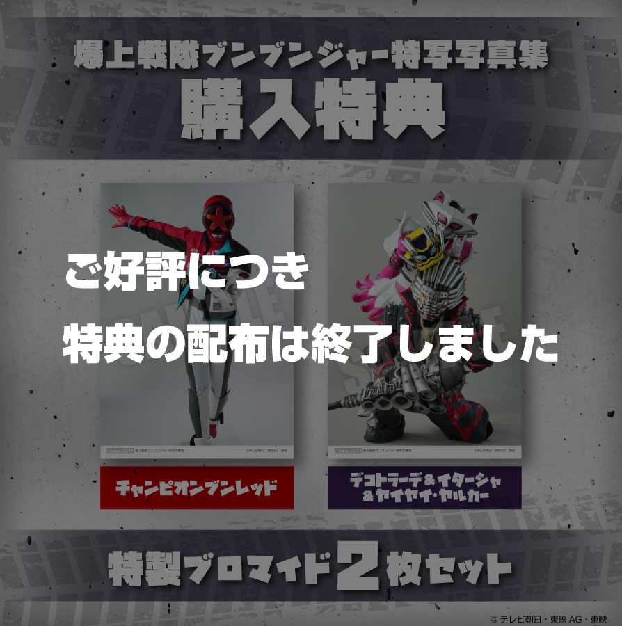 購入特典 特製ブロマイド2枚